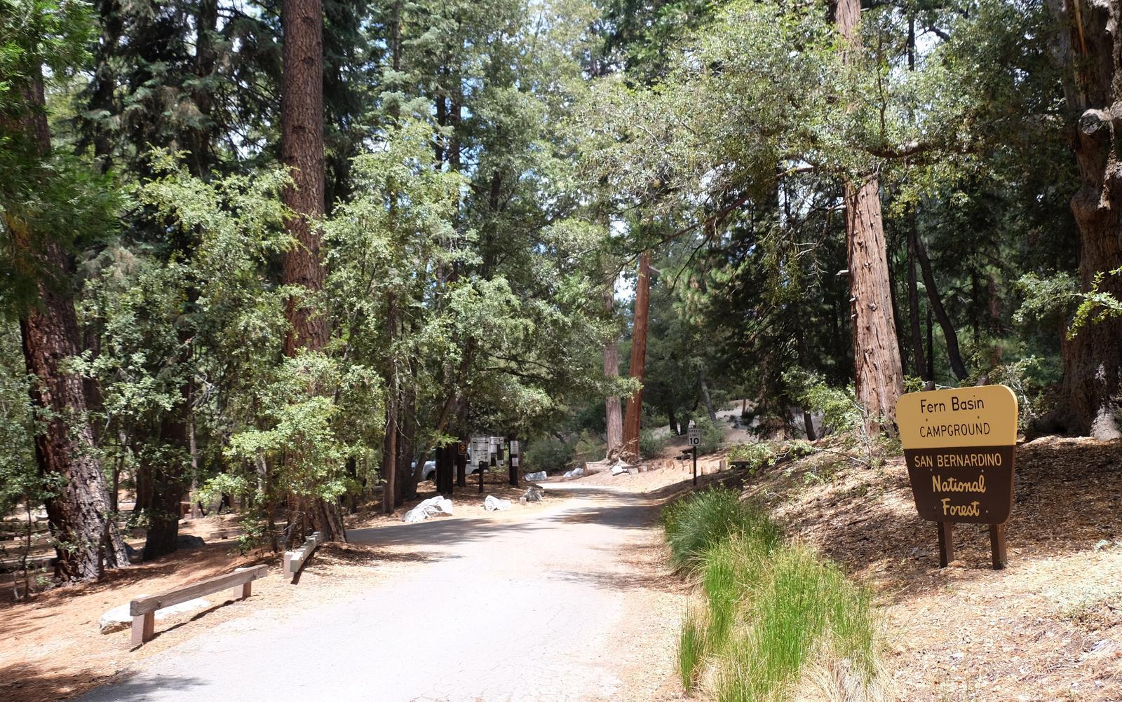 Idyllwild-pine cove, California