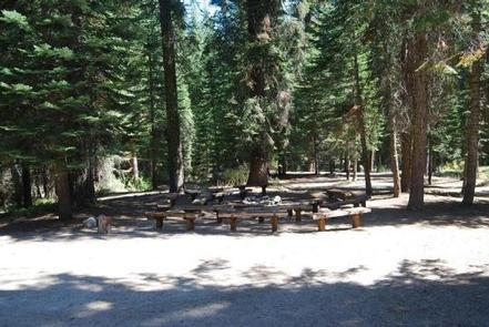 Sequoia national park, California