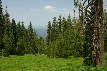 Trail, Oregon