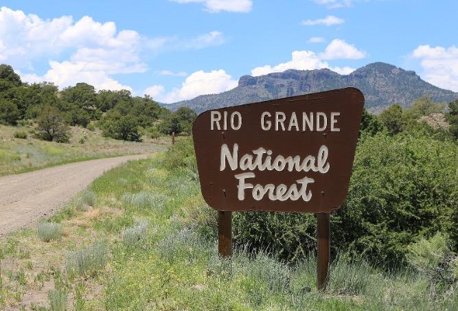 6. Rio Grande National Forest, CO